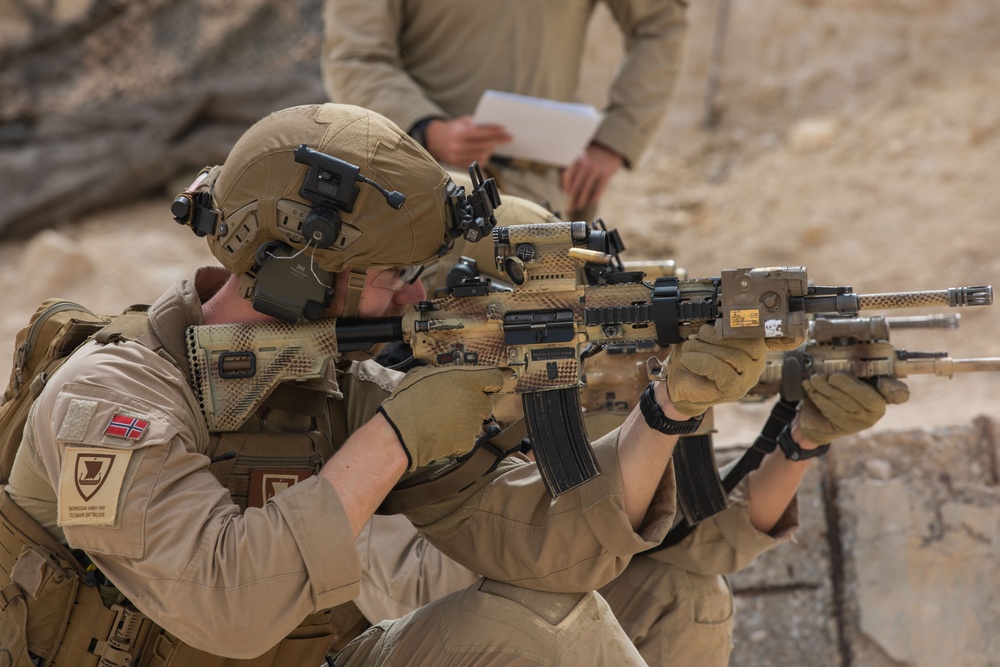 Coalition Members Conduct Weapons Training at Al Asad Air Base