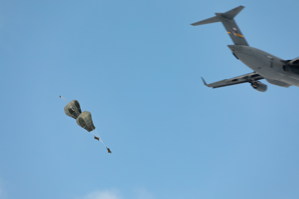 Panther Brigade Soldiers Drop in to Swift Response