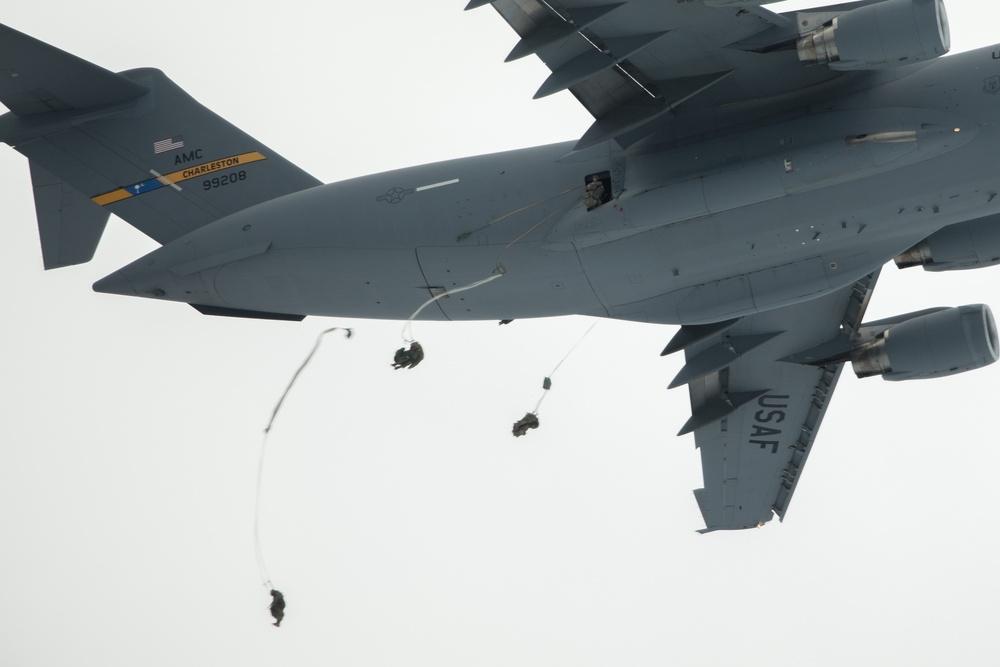Panther Brigade Soldiers Drop in to Swift Response
