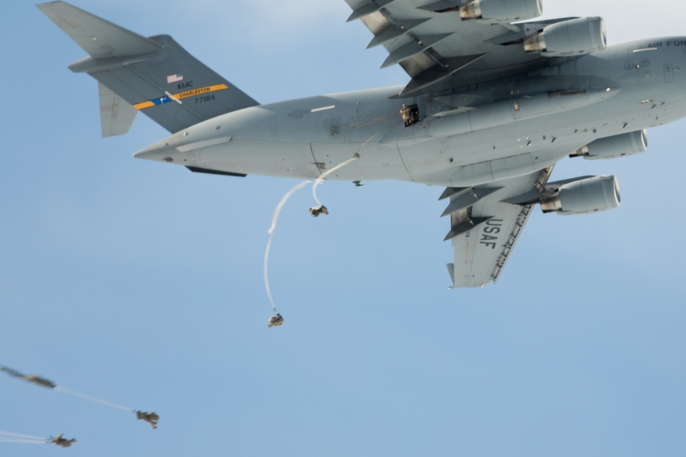 Panther Brigade Soldiers Drop in to Swift Response