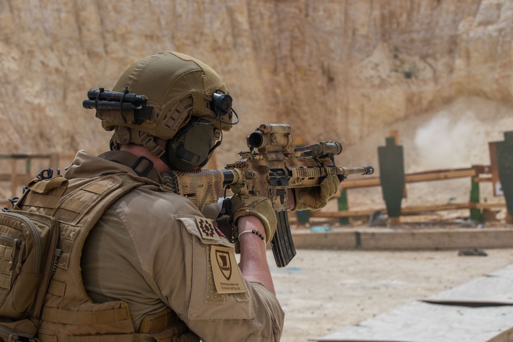 Coalition Members Conduct Weapons Training at Al Asad Air Base