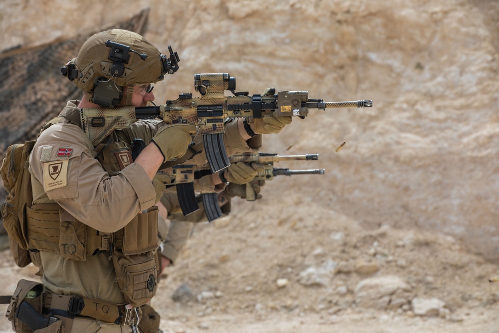 Coalition Members Conduct Weapons Training at Al Asad Air Base