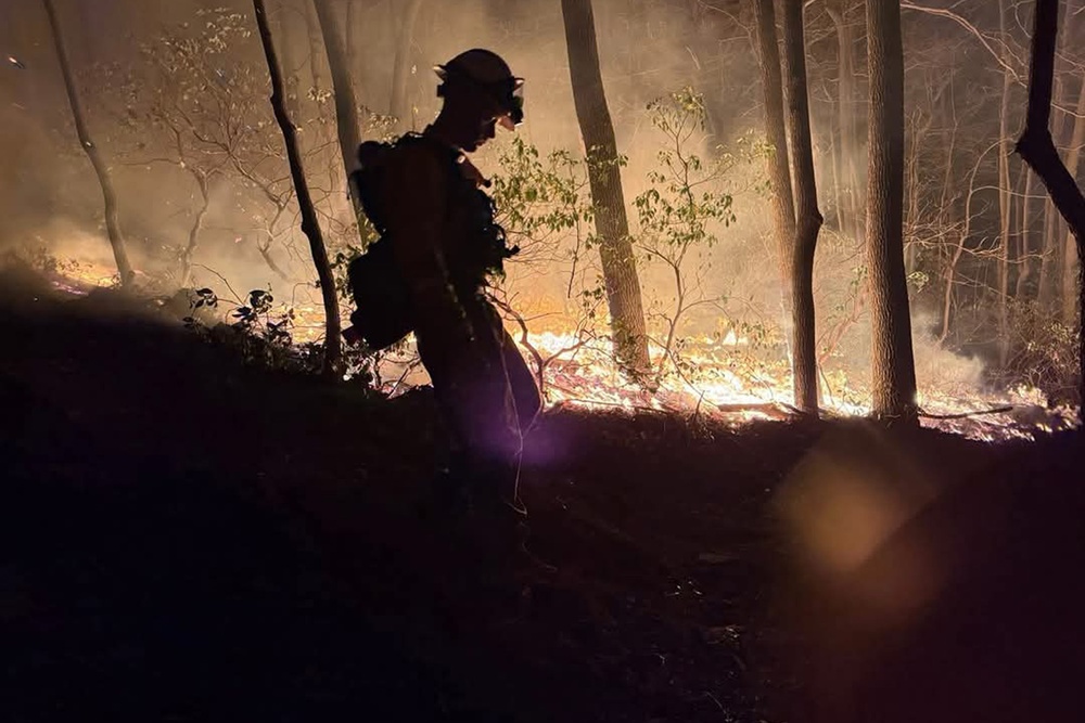 LEAD Employees Recognized for local Wildfire Support