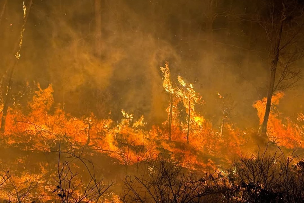LEAD Employees Recognized for local Wildfire Support
