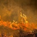LEAD Employees Recognized for local Wildfire Support