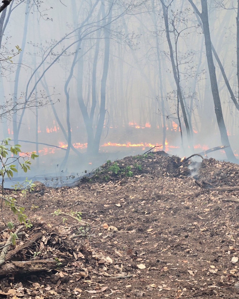 LEAD Employees Recognized for local Wildfire Support