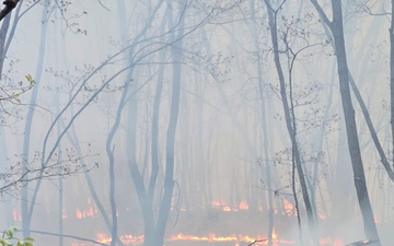 LEAD Employees Recognized for local Wildfire Support