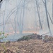 LEAD Employees Recognized for local Wildfire Support