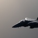 Strike Eagle Security