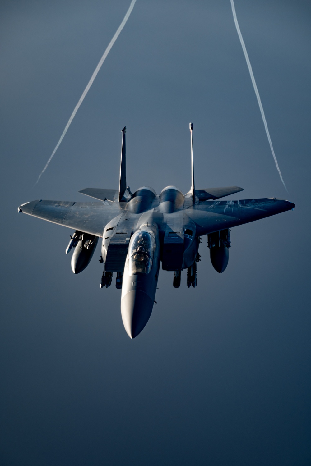 Strike Eagle Security