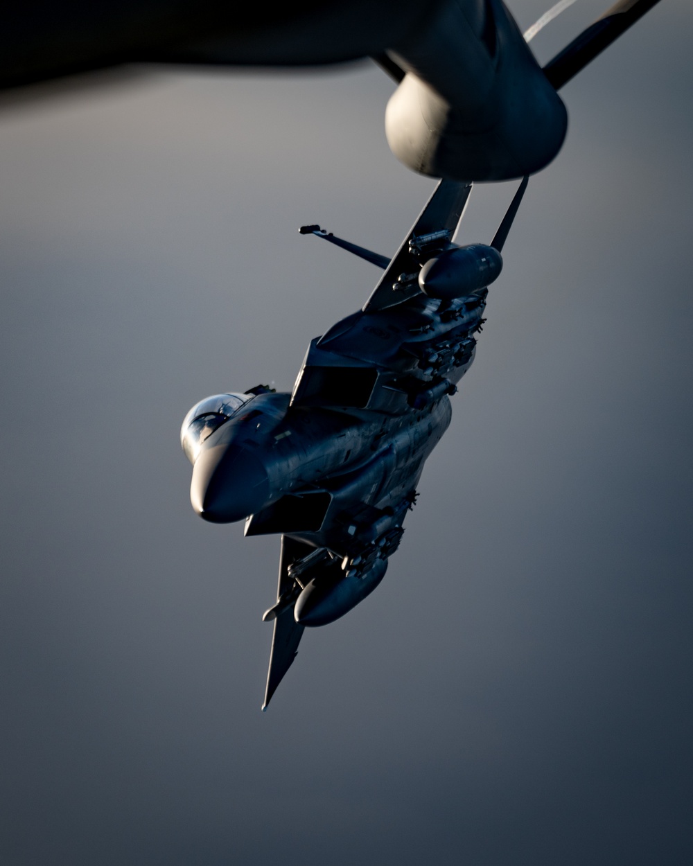 Strike Eagle Security