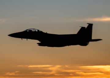 Strike Eagle Security