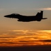 Strike Eagle Security