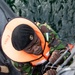 Seven African Nations Partner for Shipboard VBSS Training
