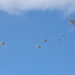 Swift Response 25 | U.S. Marines and Army Conduct Exercise Swift Response