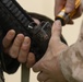 6th ANGLICO Marines prepare to be OPFOR