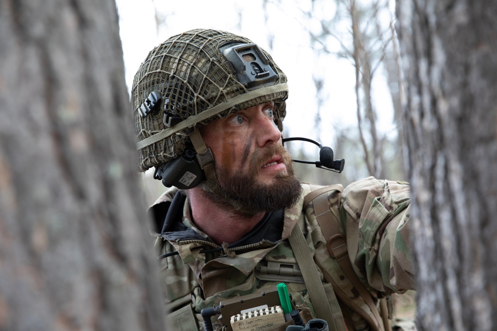 Britain's 2 Para encounters Swift Response