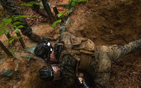 Martial Arts Trainer Course 2-25