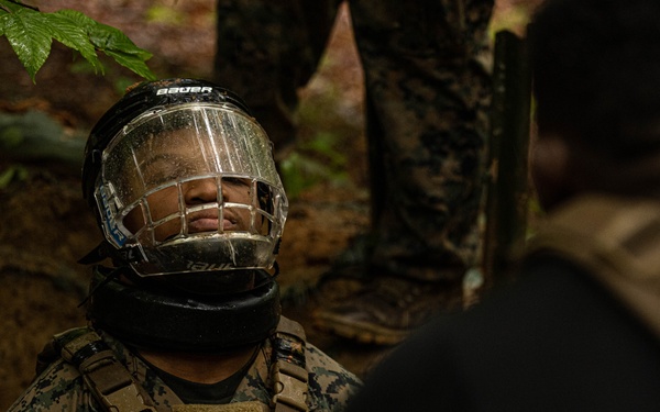 Martial Arts Trainer Course 2-25