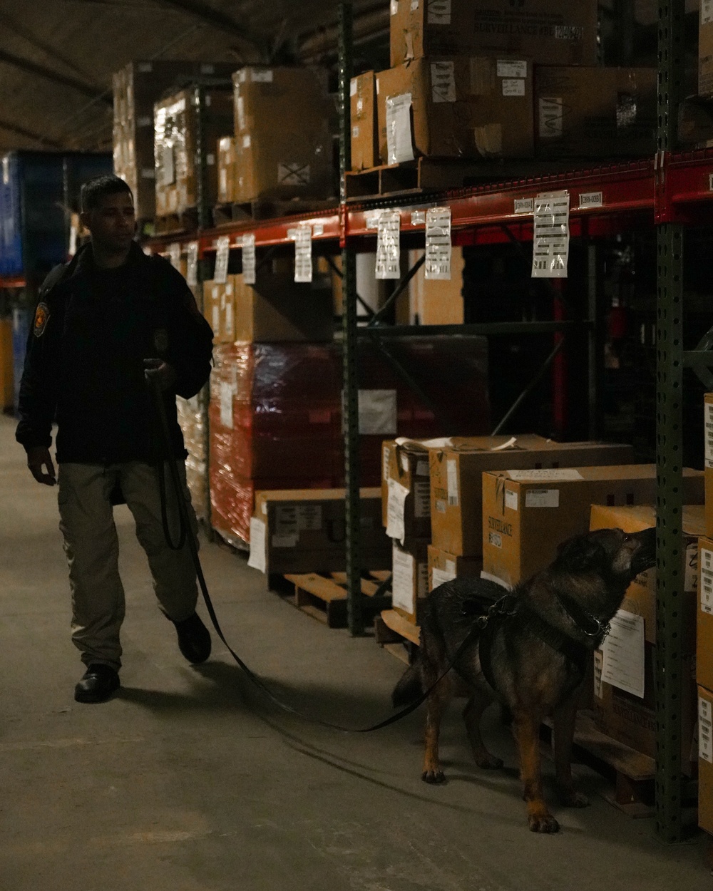 U.S. Marine Police Officers engage in a Narcotics Detection Validation Exercise