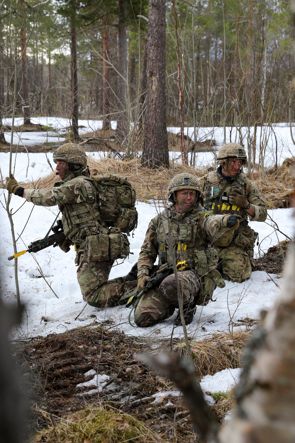 British Ally Support during Swift Response