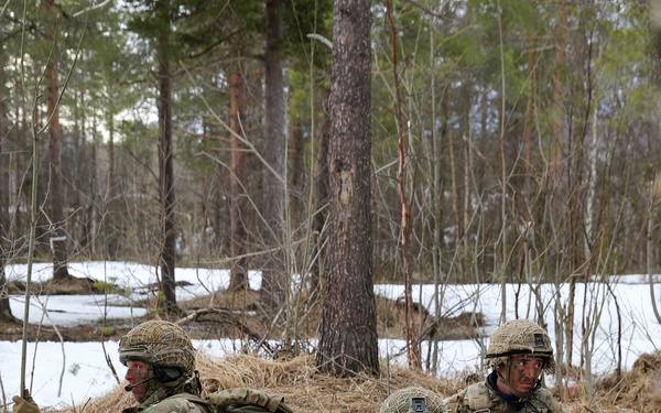 British Ally Support during Swift Response