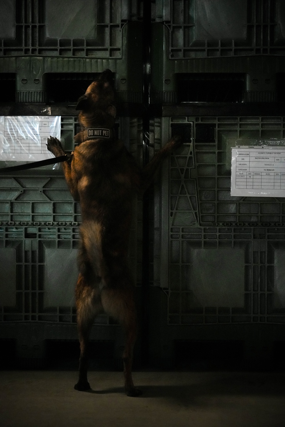 U.S. Marine Police Officers engage in a Narcotics Detection Validation Exercise
