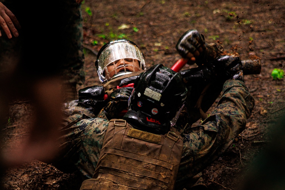 Marine Corps Martial Arts Instructor Trainer Course 2-25