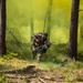 V Corps Best Squad Competition Day 3: CBRN Lanes