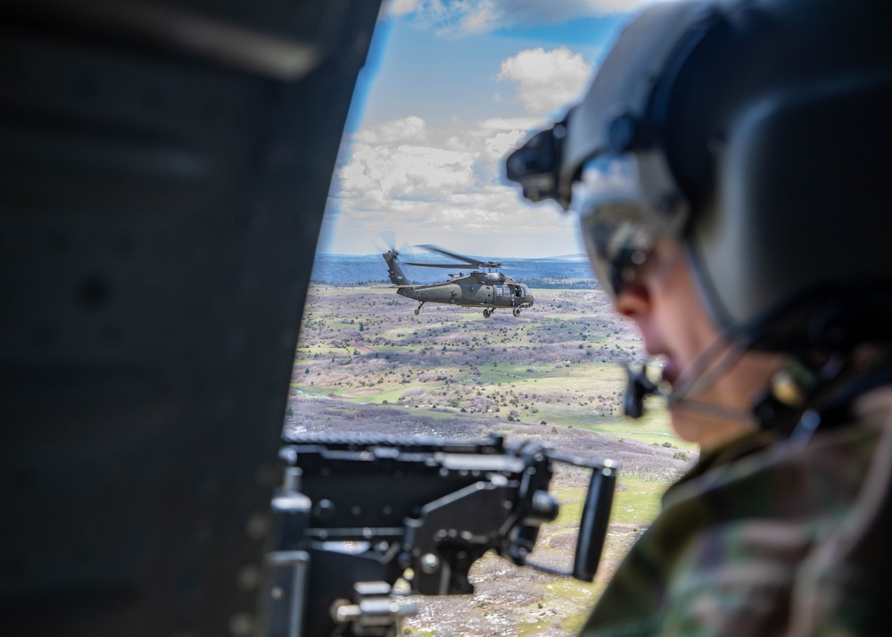 Precision and Power: 3-4th AHB Supports Joint Maneuvers in Operation Gotham Strike