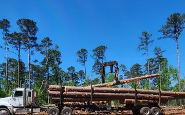 USACE timber salvage operations pivot at J. Strom Thurmond Lake Project