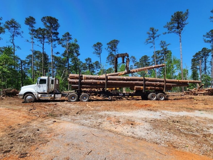 USACE timber salvage operations pivot at J. Strom Thurmond Lake Project