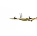 Exercise Arcane Thunder Stress-Tests Drone Crash, Recovery, and Repair