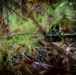 RTI ALC Course Conducts a Night Time Reconnaissance STX lanes