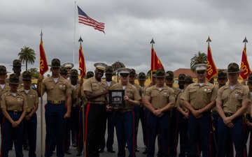 Alpha Company Pro