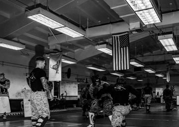 MCMAIC 73-25 conduct physical training and sparring