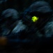 RTI ALC Course Conducts a Night Time Reconnaissance STX lanes