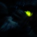 RTI ALC Course Conducts a Night Time Reconnaissance STX lanes