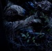 RTI ALC Course Conducts Night Time Reconnaissance STX lanes