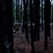 RTI ALC Course Conducts Night Time Reconnaissance STX lanes