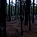 RTI ALC Course Conducts Night Time Reconnaissance STX lanes