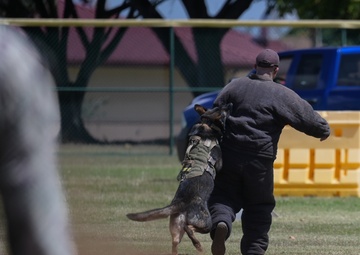 JBPHH hosts Police Week Display Day