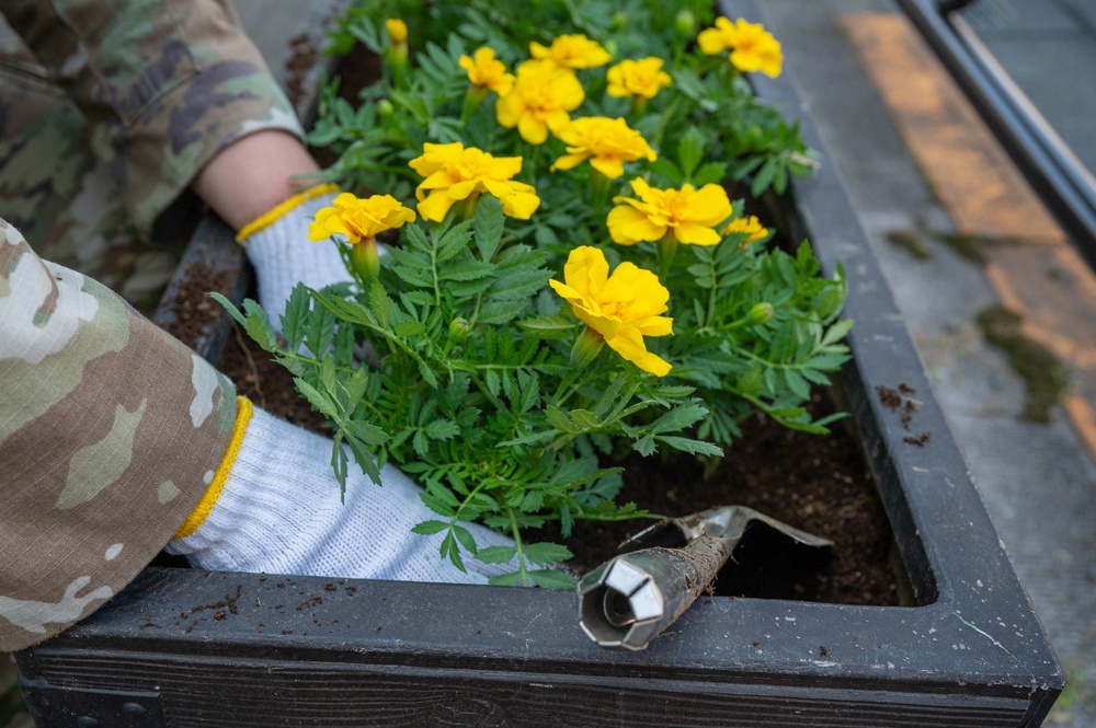 Yokota boosts the charm of Fussa with beautification project