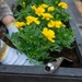 Yokota boosts the charm of Fussa with beautification project
