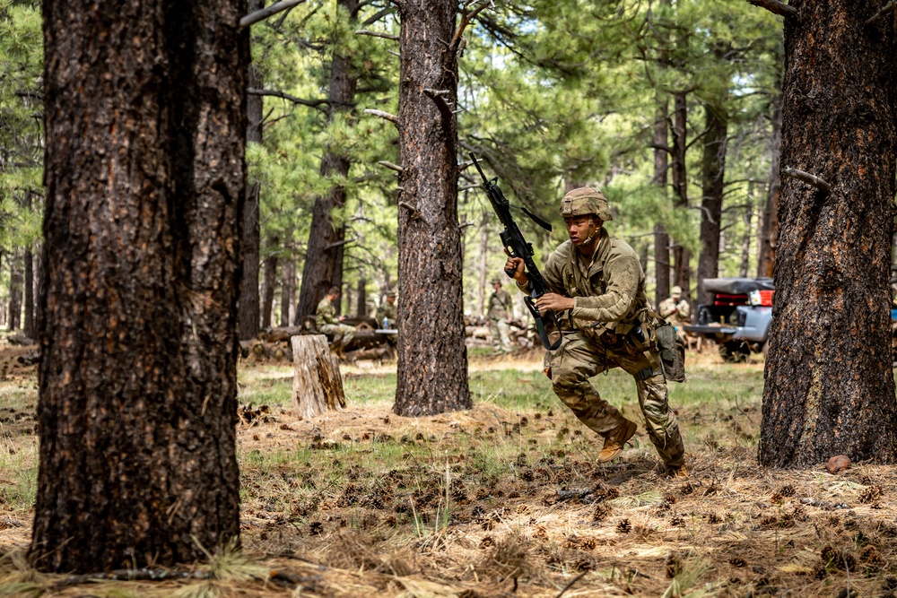 Hawaii's Own at the 2025 Region VII Best Warrior Competition