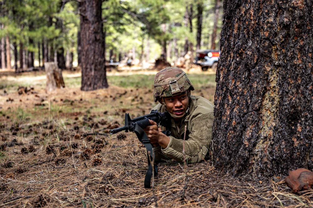 Hawaii's Own at the 2025 Region VII Best Warrior Competition