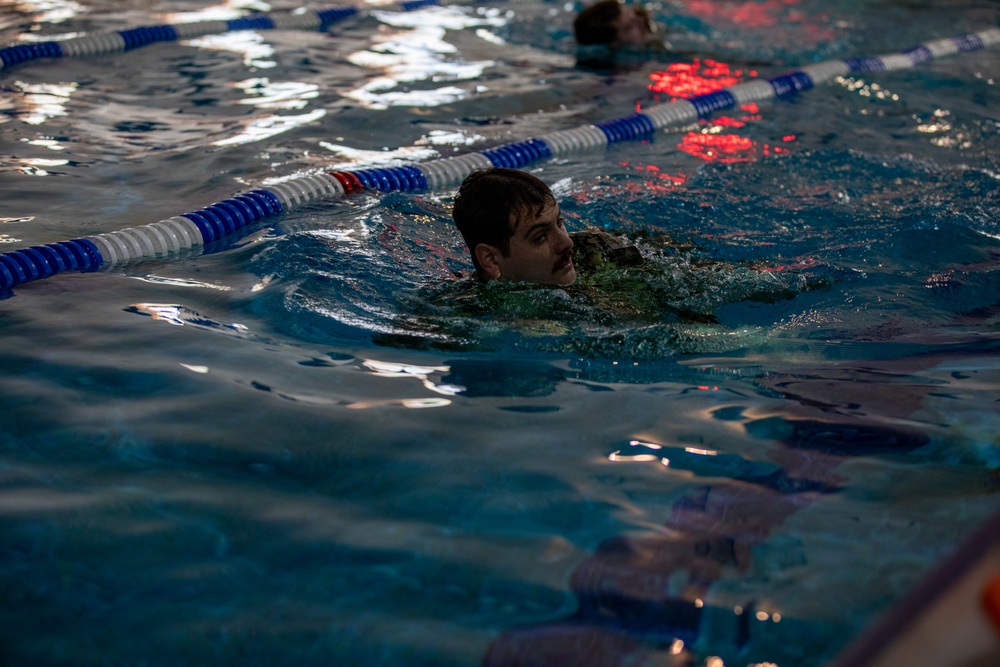 U.S. Army Soldiers earn through physical challenge, the German Armed Proficiency Badge.