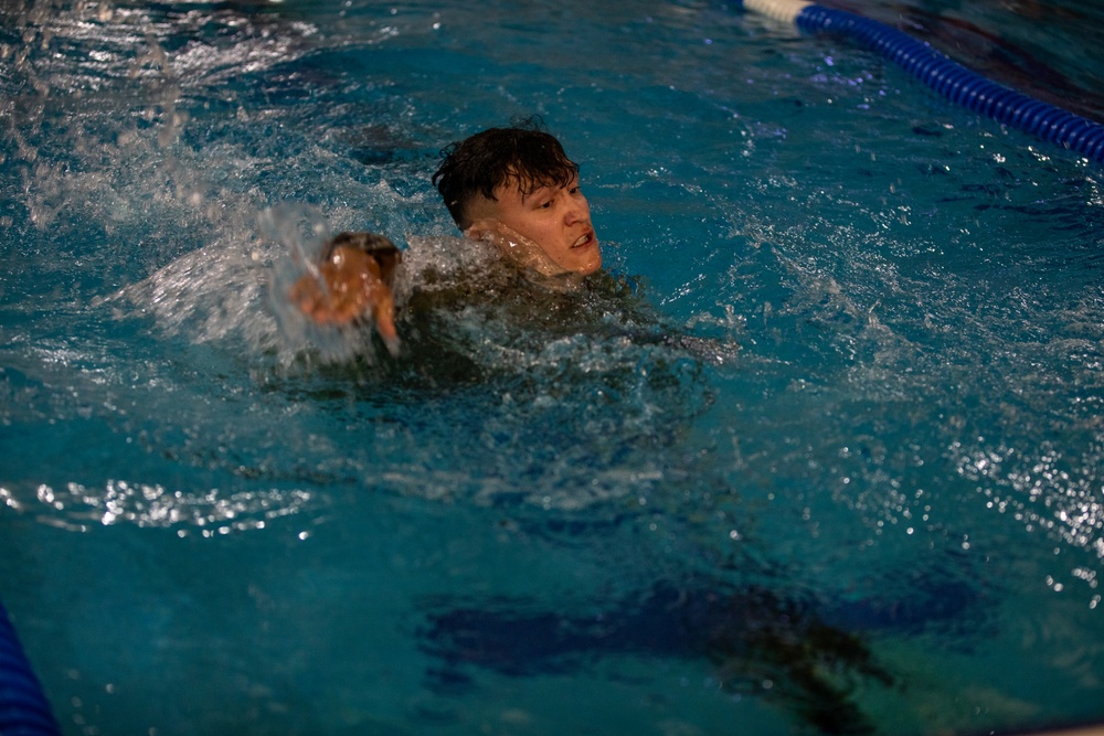 U.S. Army Soldiers earn through physical challenge, the German Armed Proficiency Badge.