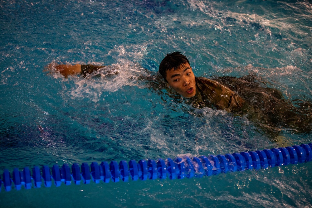 U.S. Army Soldiers earn through physical challenge, the German Armed Proficiency Badge.