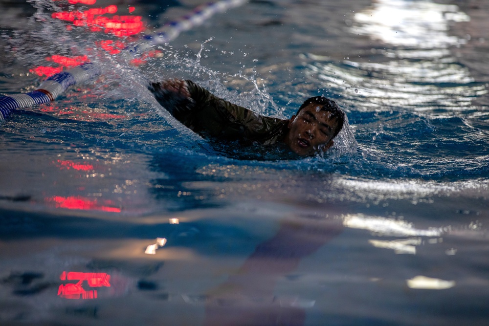 U.S. Army Soldiers earn through physical challenge, the German Armed Proficiency Badge.